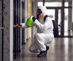 Trusted Lonsdale, MN Mold Remediation Experts